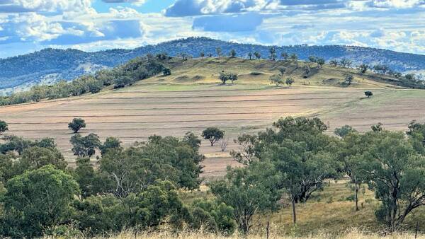 Dryland cropping, cattle country in handy position to a major regional city