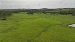 North Queensland cattle property sold at red hot auction for $10,299/acre