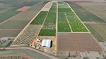 Highly regarded citrus operation with a quality packing facility | Video