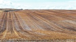 SA farmland sales soften during wait for rain but strategic buys continue