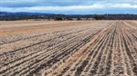 After Mid North auction success, cropping land near Gawler goes under hammer