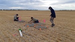 Long term CSIRO mouse management research secured with $11m GRDC funding
