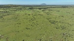 Favoured Banana cattle country for breeding, backgrounding and finishing