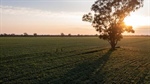 Kilter's prime Oomabah cropping, grazing aggregation coming to market