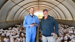 Piggery technology will allow farmers to remotely detect animal health issues