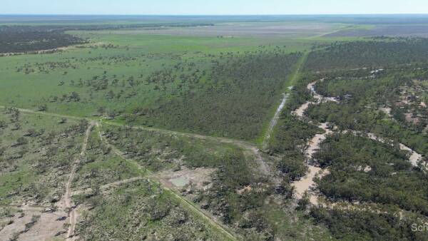 Well-improved Narran River country with grass, farming potential passed in