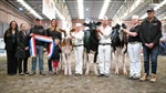 Red and white heifer dazzles judges to take out junior title at Bendigo