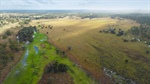 Outstanding northern property offered with 5000 quality cattle | Video