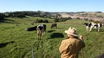 Biodiversity tax deduction system failing to incentivise landholder take up