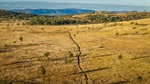 Exceptionally well-developed Central Queensland cattle country | Video