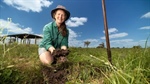 Farming for healthier soils lifts feed quality on Gippsland dairy farm