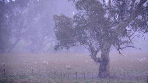 System sweeps across the country bringing rains everywhere it goes