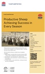 Productive Sheep Achieving Success in Every Season