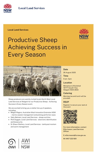 Productive Sheep Achieving Success in Every Season