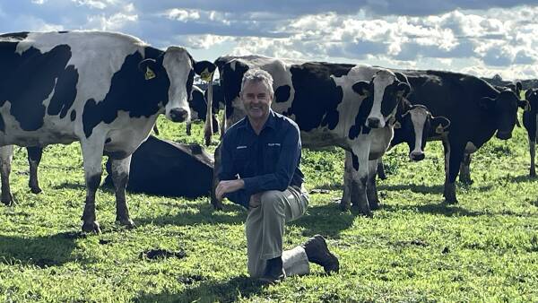 Vic dairy farmer welcomes rain after shelling out extra $2 million on feed