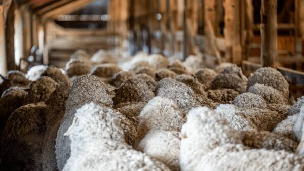 Accreditation and beyond: the kind of wool that European retailers want