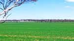 Fitzgeralds take their big cropping farms at the top of the EP to auction