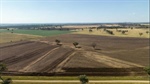 Swinton well-located for cattle, grain and fodder opportunities | Video