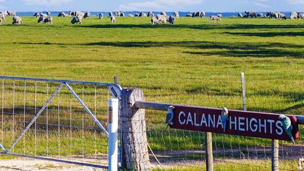 New selling price of $11.5m for McBrides' sprawling sheep property in SA