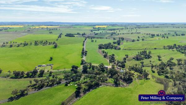 Quality Suntop district lamb, cropping operation sold at auction | Video