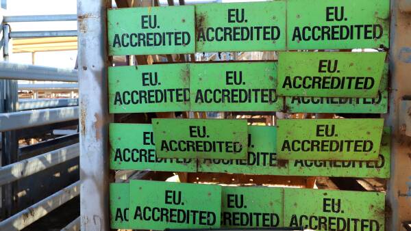 Test run on EU deforestation rules: here's how our cattle properties fared