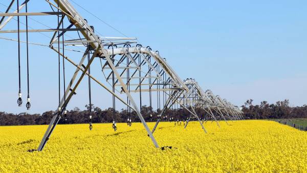 Local buyer secures prized Coonamble farms after failed US $780m bid