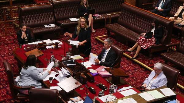 Contentious gun reform passes 18 to eight votes after marathon debate