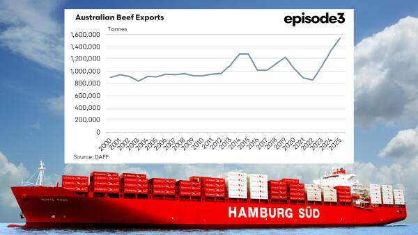 Even more beef shipped than we thought, but carcase weights back a smidge