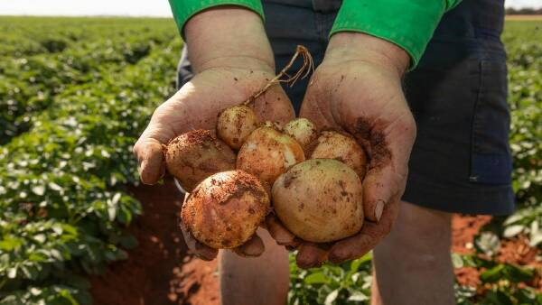 Hillston Farm with 1433 acres of irrigation and 1007ML of water | Photos