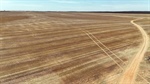 Northern Mallee farm offers large scale for new or existing croppers