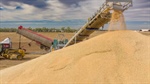 'We've seen it all before': sluggish global market can't last says GrainCorp