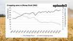 The tipping point: WA now has one sheep for every hectare of cropping land