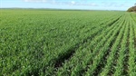 Triple play on EP as 2500ha of cropping land changes hands on three farms