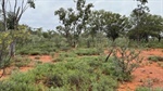 Outback mulga lands property on the market for a staggering $130 million