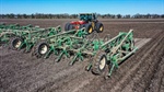 Planting versus harvest: a relationship far weaker than growers might expect