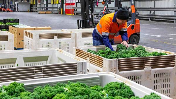 Soaring fuel costs bite into food production, supermarkets asked to help