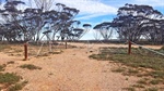 Mid North grazing land hits market for $1353/acre with new fences, troughs