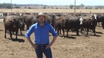 Grass-fed cattle levy under microscope: $75m funding system considers reform