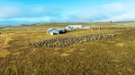Historic Monaro grazing property with high carrying capacity offered for sale