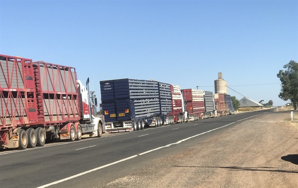 Burren Junction Community Voices Concerns at Walgett  Shire Strategic Plan Meeting