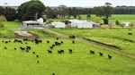 Buyers do their sums on the sale of this quality farm in the South West