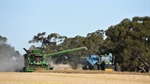Canola sitting pretty at more than $800/t as global markets drive value up