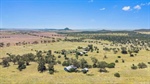 North west cattle country sold under the hammer for $1206/acre