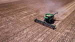 Feeling déjà vu? Why an El Nino and a heatwave can't move current grain prices