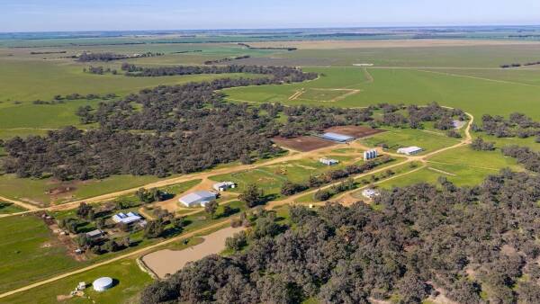 Whittier Park an outstanding property build for cattle production | Video