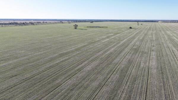 Impressive 'Golden Triangle' grain aggregation hits the market | Photos