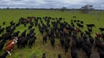 US ranchers tipped to muster up the money for $3b Paraway Pastoral estate