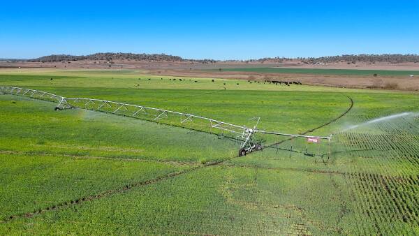Premier asset with high-quality cultivation, irrigation, grazing | Video