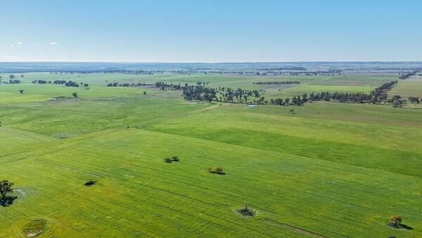 Quamby sold under the hammer in red hot auction result | Photos