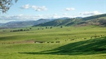 Ardenside Station presents as 12,997 acres of livestock excellence